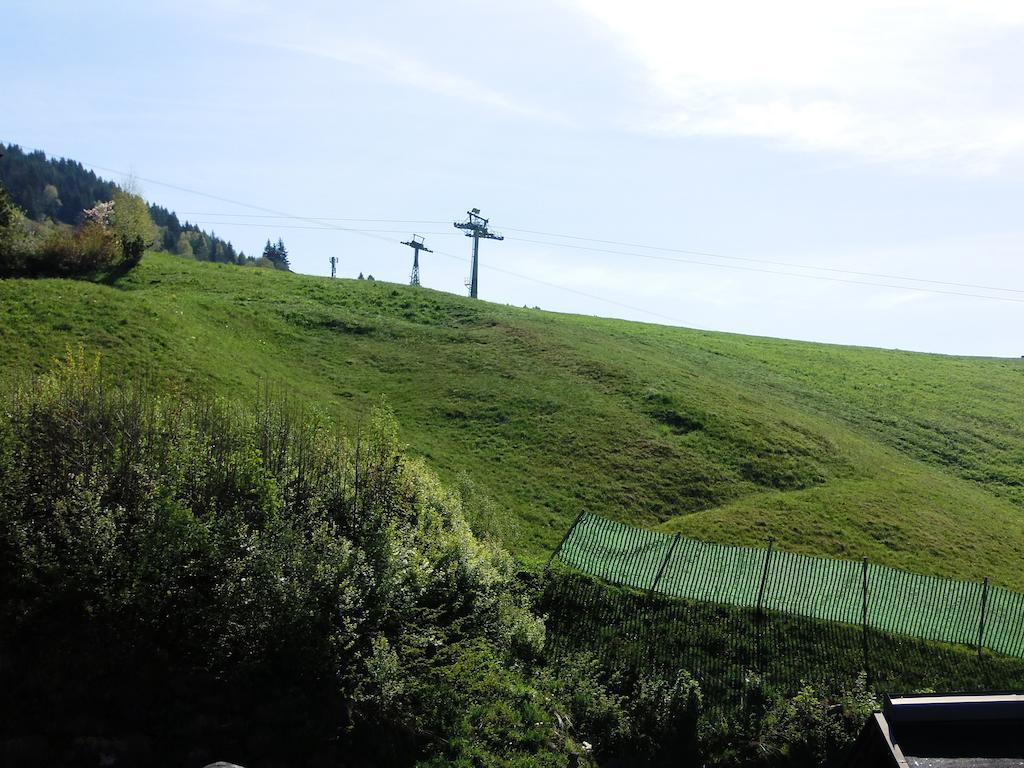 Haus Bergheim Lägenhet Saalbach-Hinterglemm Exteriör bild